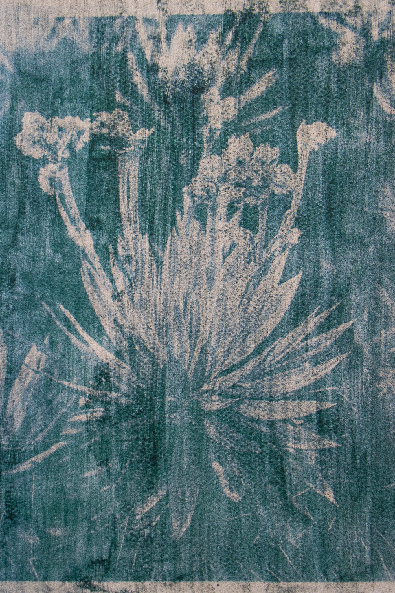 Photo of an anthotype made with spirulina